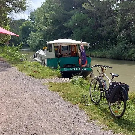 Au Bord Du Canal Du Midi Carcassonne