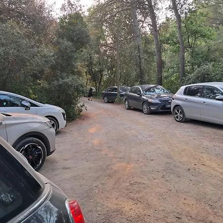 Au Bord Du Canal Du Midi *